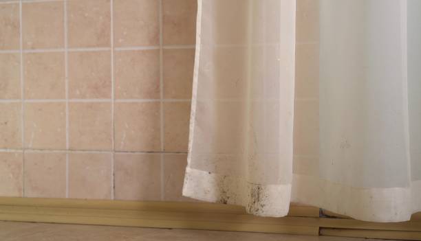 Best Environmental Consulting for Mold Prevention  in Sac City, IA
