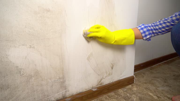 Mold Remediation for Rental Properties in Sac City, IA